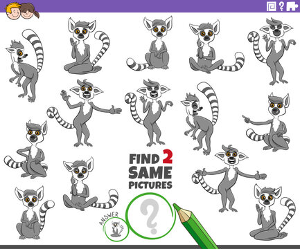 find two same cartoon lemurs animal characters educational activity