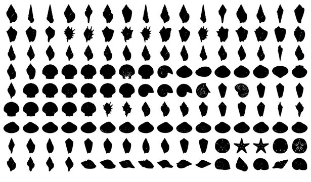 Marine Sea Shell Silhouette Collection with Conch and Spiral Shell Icons