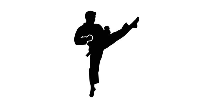 Man in Karate Fighting Stance.