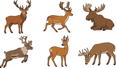 Obraz premium Deer and moose cartoon vector illustration collection featuring stag, fallow deer, moose, reindeer, roe deer and grazing woodland wildlife isolated on white background