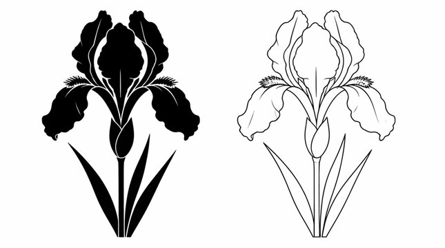 Iris flower silhouette and outline icon set for floral design