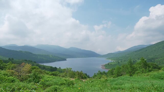 キスゲの咲く初夏の野反湖