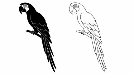 Fototapeta premium Macaw parrot perched on branch silhouette and outline set, tropical bird vector