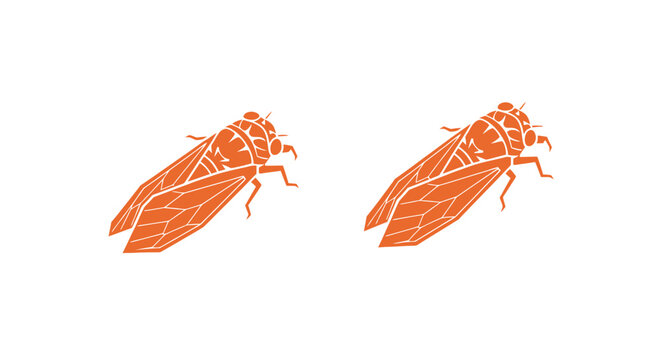Two orange cicada insects with detailed wings and bodies.
