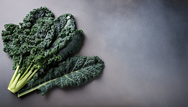 Kale Cavolo Nero Leaves On Grey Background