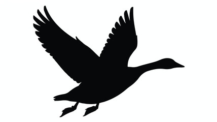 Naklejka premium A flying bird silhouette soars through the air with spread wings and outstretched legs