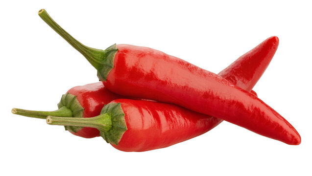 Isolated three vibrant red hot chili peppers, fresh and spicy cooking ingredient, food concept