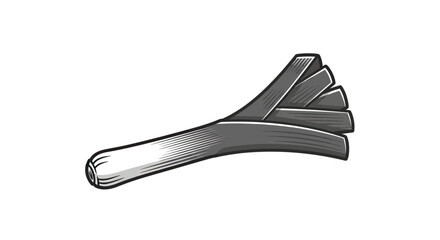 Linear sketch of a fresh leek vegetable stalk © Engg