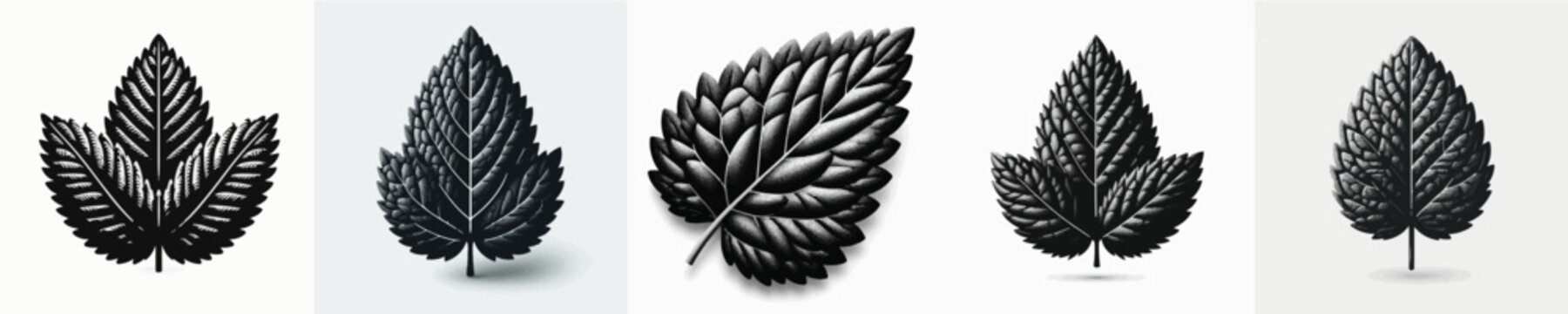 Vector silhouette of mint leaf