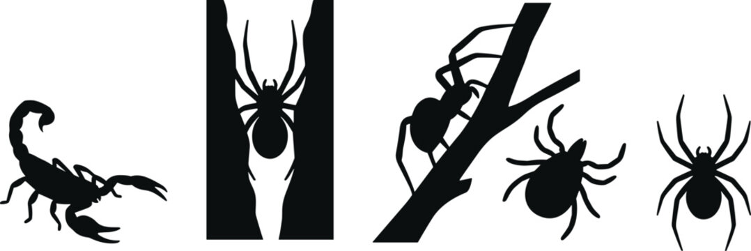 Arachnid Silhouette Collection with Scorpion and Spider Black Vector Icon Set