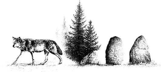 Obraz premium Black and white stippling wolf walking with pine trees and standing stones for background and poster design