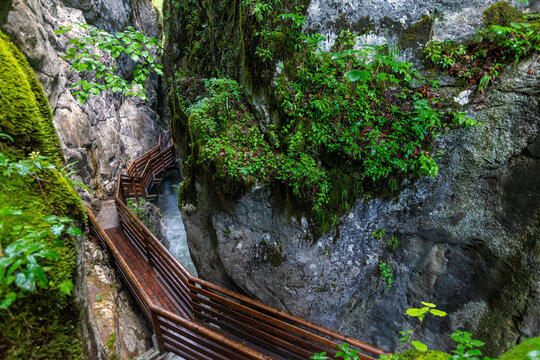 Wooden hiking trail boardwalk in Innersbachklamm gorge next to a rushing mountain river and steep wet rock face, lush green forest in Unken, Austria