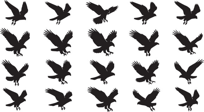 Set of eagle bird silhouettes in various flying and landing poses isolated on a white background design element