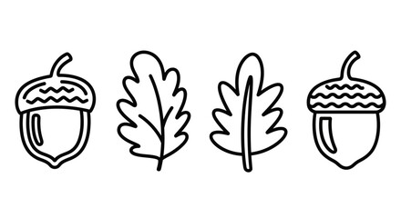 Hand-drawn outline acorns and oak leaves, simple doodle art for autumn season design. © kumara