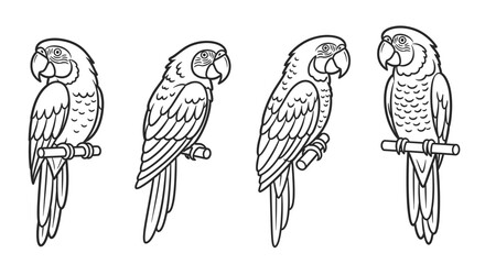 Four Outline Macaws Perched on Branches, Vector Illustration © kumara