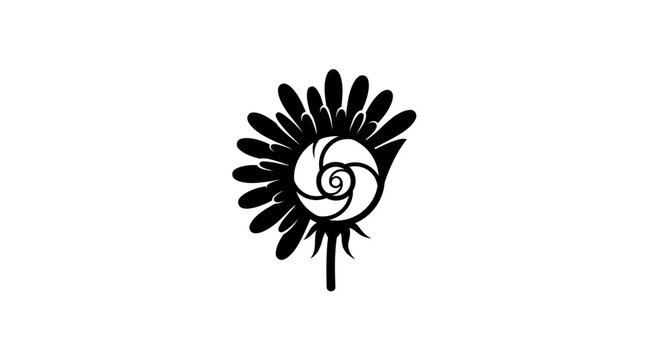 Black and white feather and shell illustration design.