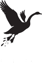 Fototapeta premium black silhouette of a bird
