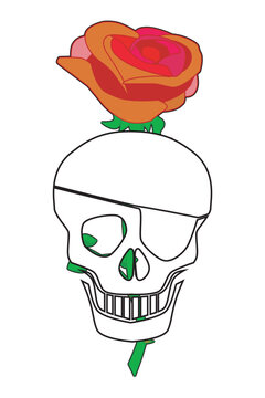 Skull And Rose