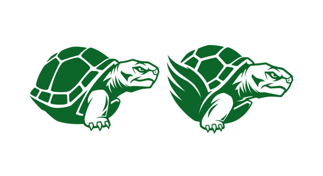 Two green turtles facing opposite directions illustration.