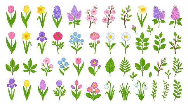 Spring Flower Collection Icon Set: Tulips, Daffodils, Hyacinths, Lilacs, Branches