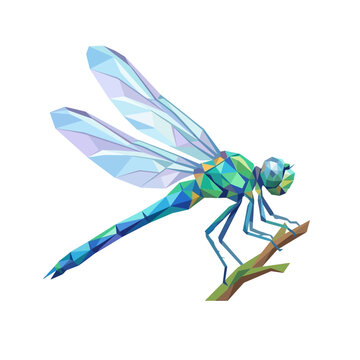 Dragonfly Full Body Illustration in Modern Low Poly Geometric Style