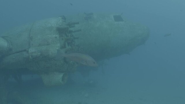 log footage of an airplane wreck underwater scuba divers to explore  metal on ocean floor