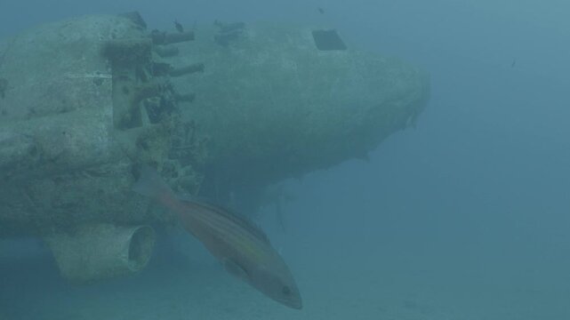 log footage of an airplane wreck underwater scuba divers to explore  metal on ocean floor