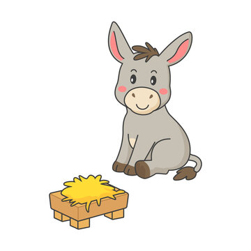 Cute donkey, cartoon burro, vector foal on white background. Vector illustration.