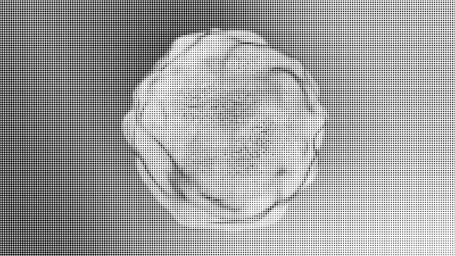 Abstract halftone sphere shape, circular dotted pattern, futuristic digital orb design, monochrome graphic element