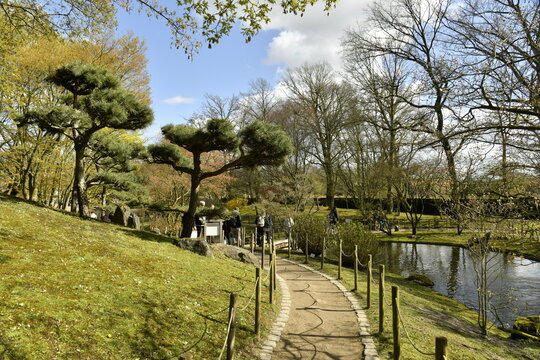 Chemin le long des plantes rares au printemps au Jardin Japonais &agrave; Hasselt (Limbourg)