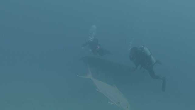 log footage of an airplane wreck underwater scuba divers to explore  metal on ocean floor
