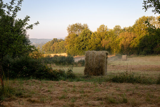 Early morning view of the Creuse countryside in summer, with hay bales in a harvested field, soft morning mist and warm golden sunlight illuminating the peaceful rural landscape of central France.