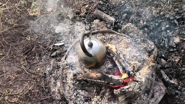 A kettle sits on burning coals in a forest. Smoke rises as the kettle heats up for making tea. The fire crackles softly under the kettle as it gets hotter.
