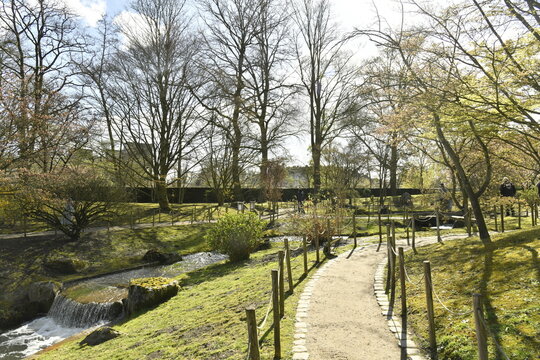Chemin entre les arbres au d&eacute;but du printemps au Jadin Japonais &agrave; Hasselt (Limbourg)