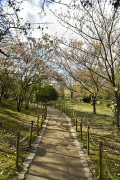 Chemin entre les arbres au d&eacute;but du printemps au Jadin Japonais &agrave; Hasselt (Limbourg)