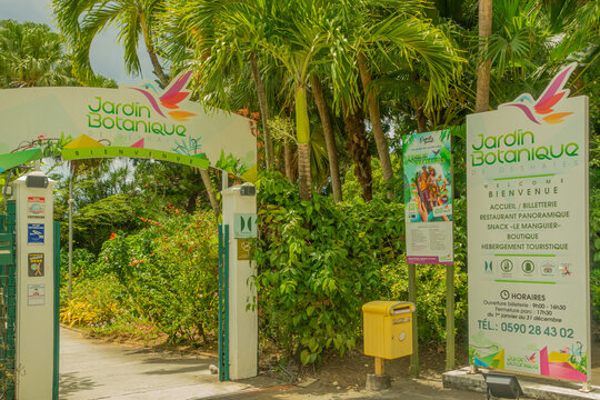 Deshaies, Guadeloupe - 02 mai 2026 : Jardin botanique de Deshaies en Guadeloupe, Antilles Fran&ccedil;aises. 