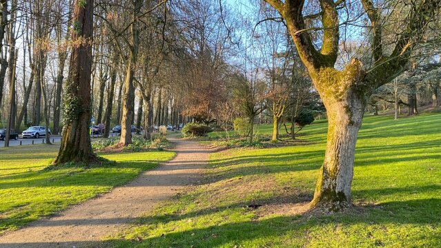 Ombres des arbres sur le gazon au d&eacute;but du printemps au parc de la Dodaine &agrave; Nivelles (Brabant Wallon)