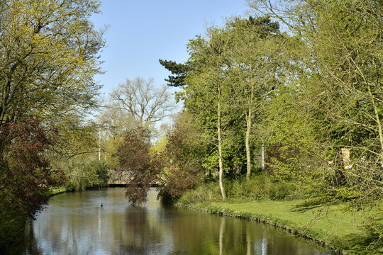 Reflet dans l'un des &eacute;tangs dans un parc &agrave; Bruges (Brugge)