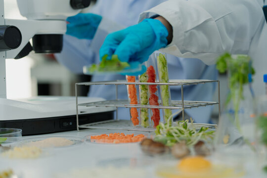 Scientists check food quality and safety in a biotechnology laboratory. Food researchers conduct analyses for quality control.
