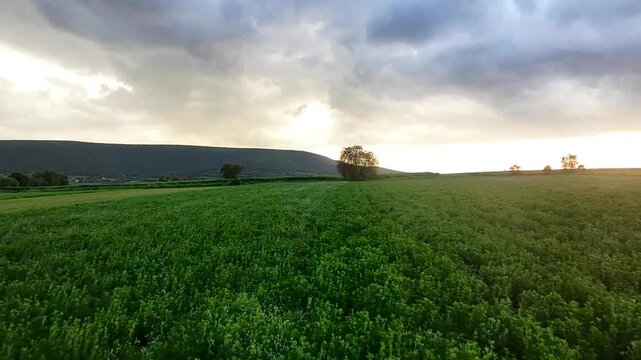 Video de un acercamiento lento en el atardecer en el campo con una monta&ntilde;a al fondo