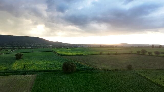 Toma a&eacute;rea de campo verde al anochecer 