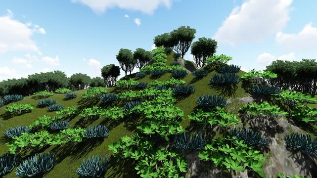 High Hill with Tress 