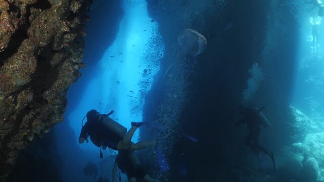 jellyfish in cave underwater 