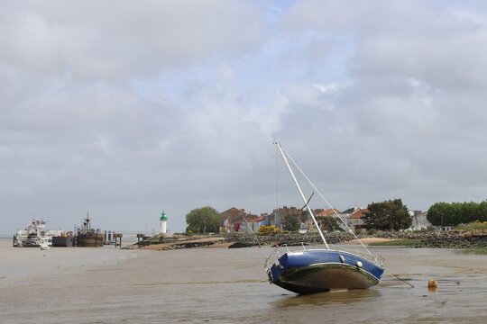 mar&eacute;e basse