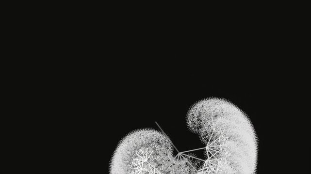 White fractal geometric structures emerging in a sequence of mathematical patterns on a dark surface