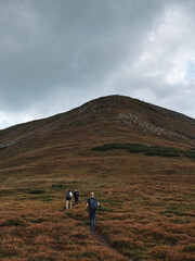 Fototapeta premium path to the peak