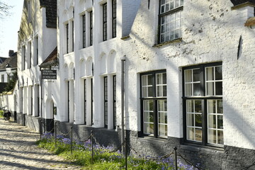Fototapeta premium Les maisons typiques peintes à la chaux au béguinage de Bruges (Brugge) 