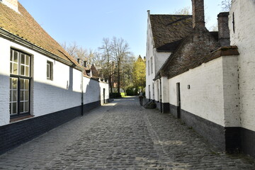 Fototapeta premium Les maisons typiques peintes à la chaux au béguinage de Bruges (Brugge) 