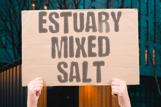 "Estuary Mixed Salt" Freshwater met the sea at the mouth. ESTUARY. MIXED. SALT. FRESHWATER. SEA.