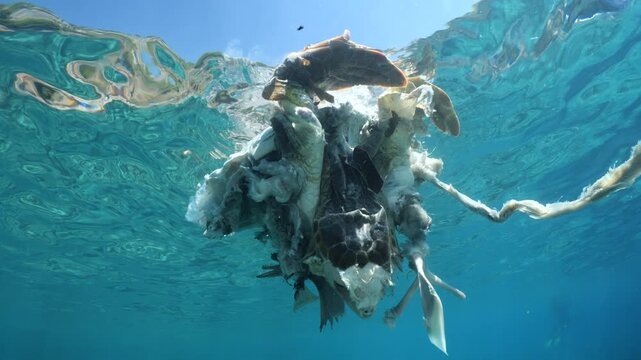 a dead sea turtle drifting on the surface of water underwater shot	